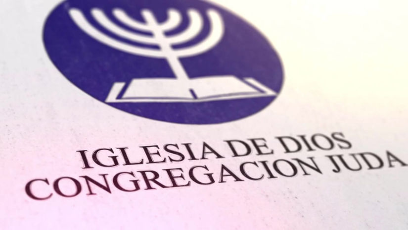 Mi transmisión en vivo